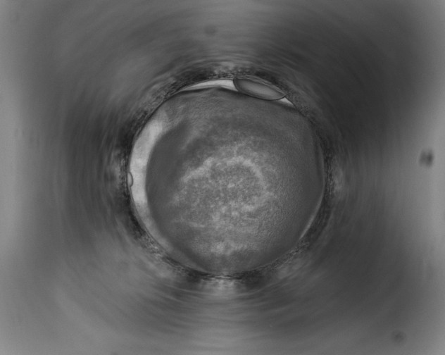 X0000115360276200911241224