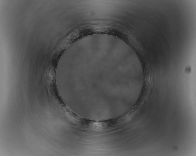 X0000115360277200911241224