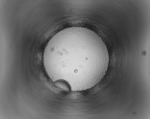 X0000115360278200911241224