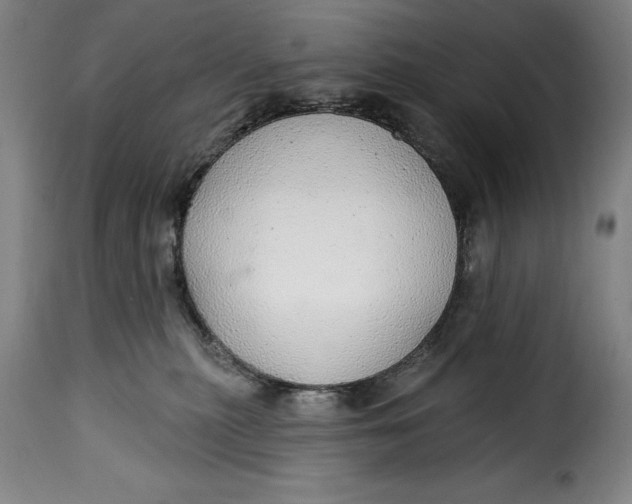 X0000115360279200911241224