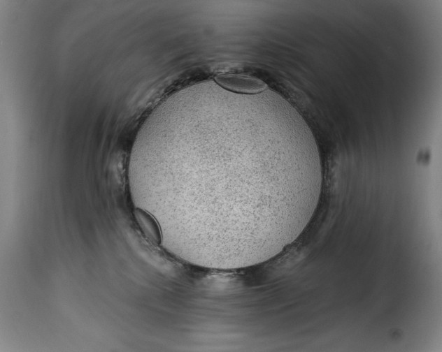 X0000115360280200911241224