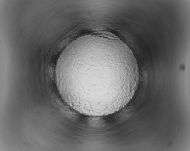 X0000115360281200911241224