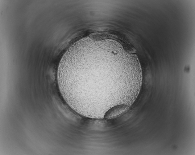 X0000115360282200911241224