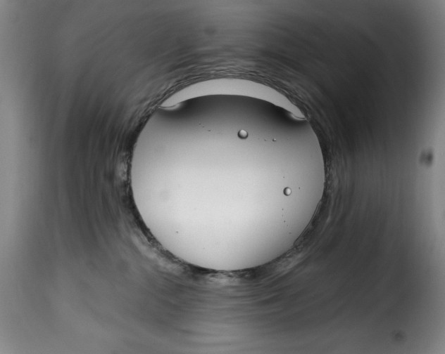 X0000115360284200911241224
