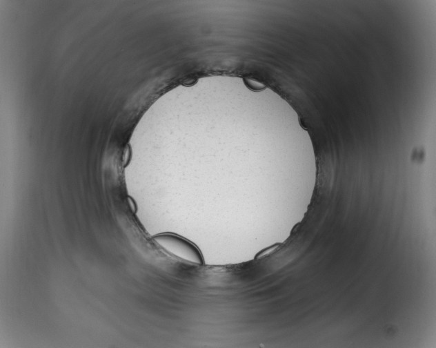 X0000115360287200911241224