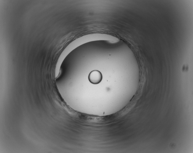 X0000115360288200911241224