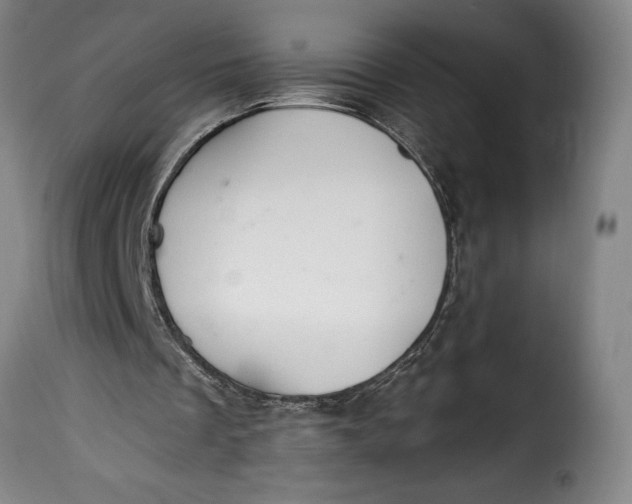 X0000115360289200911241223