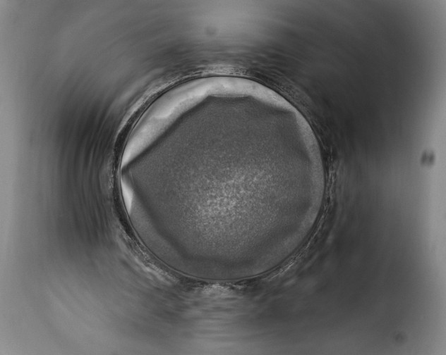 X0000115360290200911241223