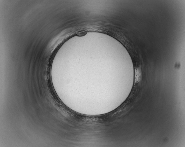 X0000115360291200911241223
