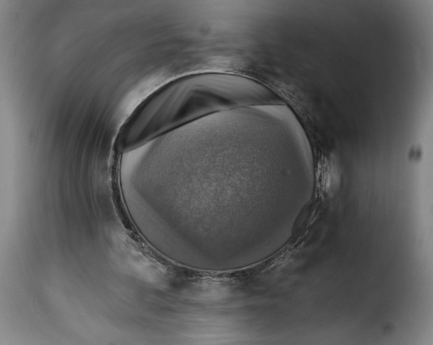 X0000115360292200911241223