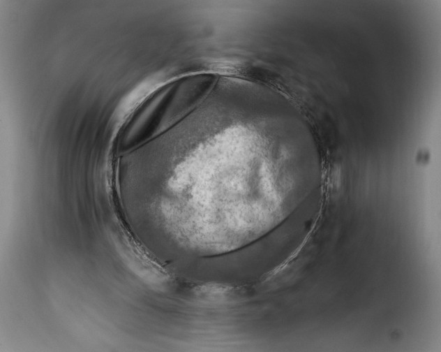 X0000115360294200911241223