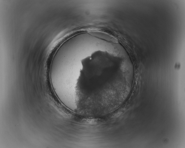 X0000115360295200911241223