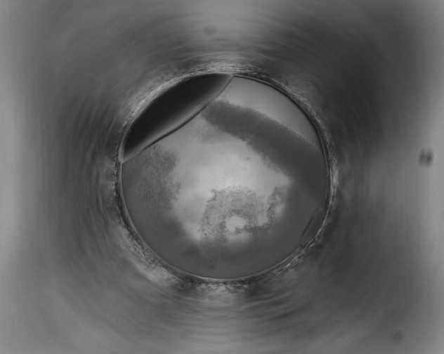 X0000115360297200911241223