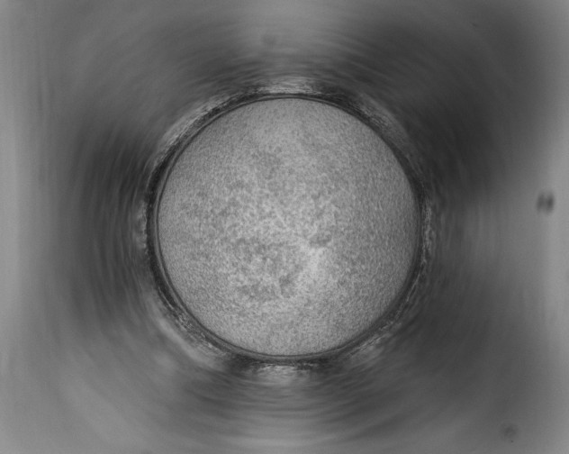 X0000115360298200911241223