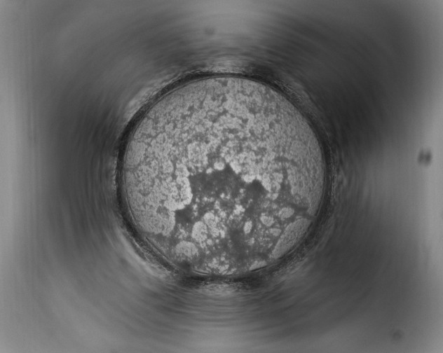X0000115360299200911241223