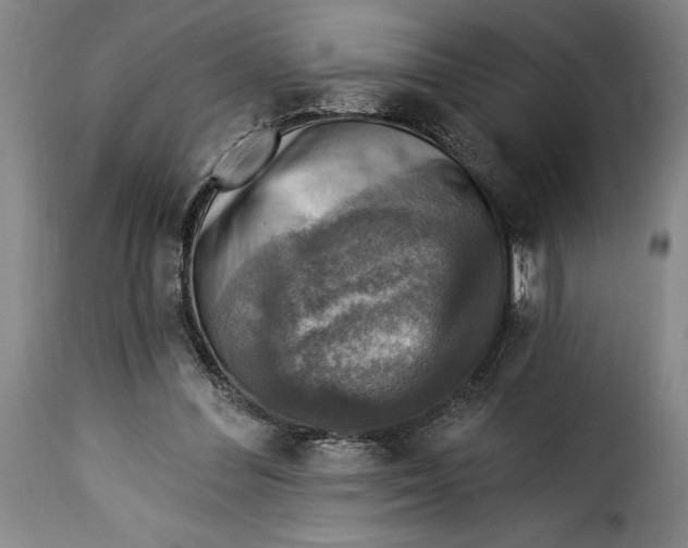 X0000115360300200911241223