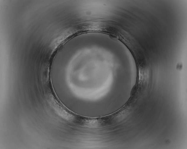 X0000115360301200911241223