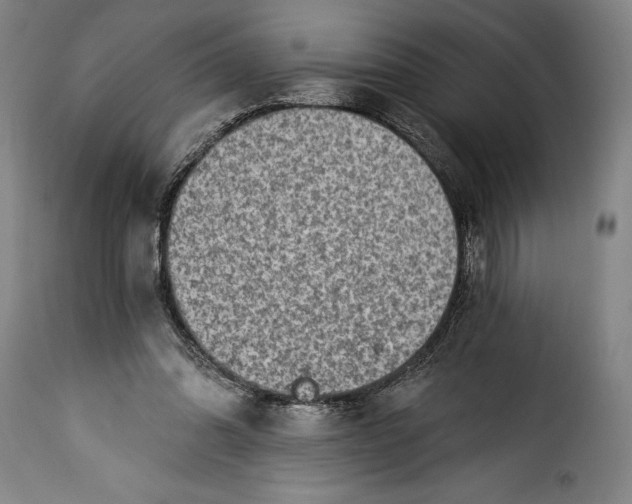 X0000115360302200911241223