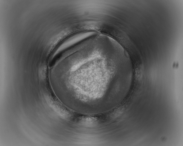 X0000115360304200911241223