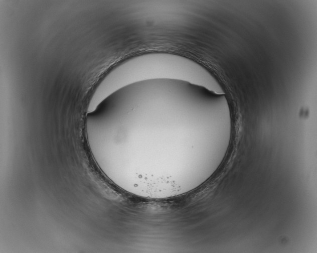 X0000115360305200911241223