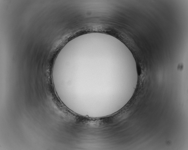 X0000115360306200911241223