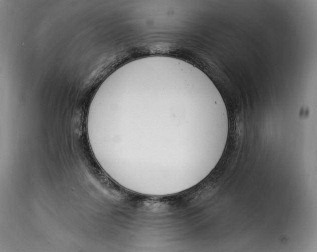 X0000115360311200911241223