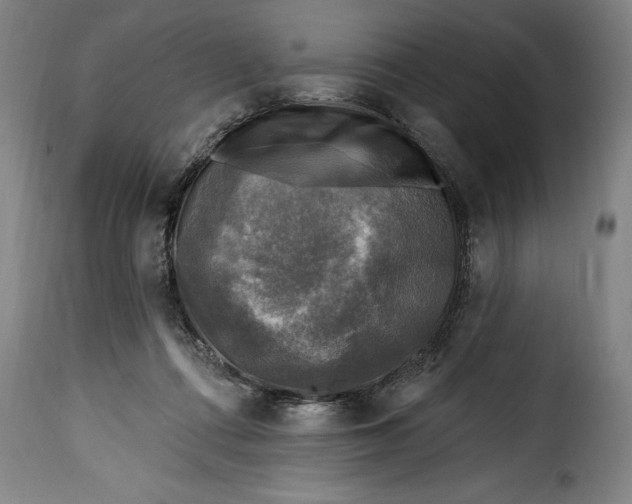 X0000115360312200911241223