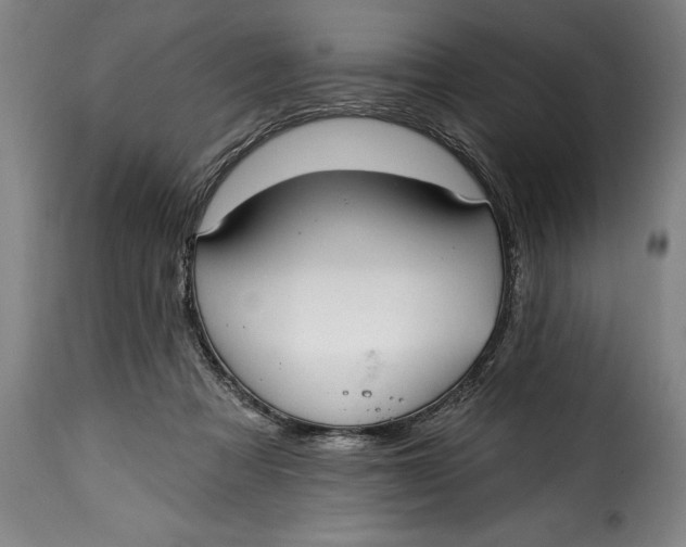 X0000115360313200911241223