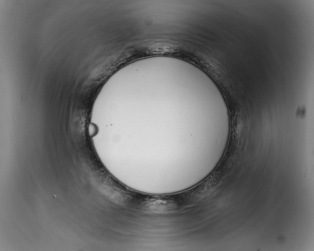 X0000115360315200911241223
