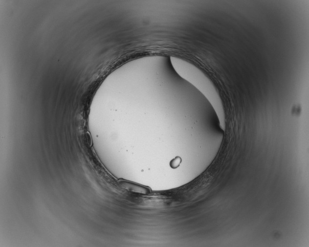 X0000115360316200911241223