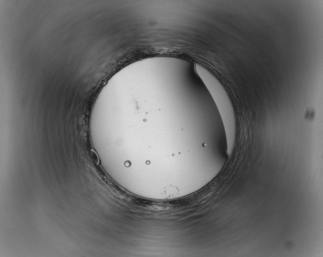 X0000115360317200911241223