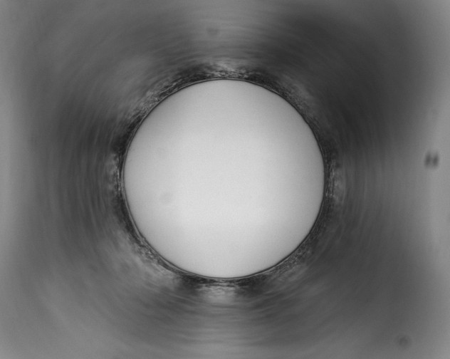 X0000115360318200911241223