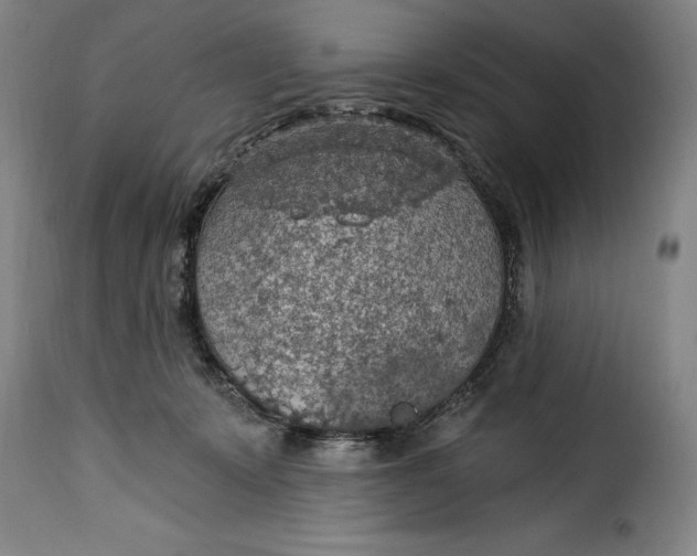 X0000115360319200911241223