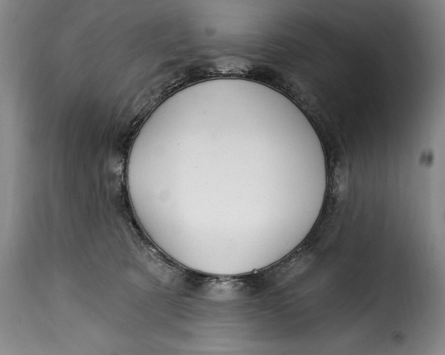 X0000115360321200911241223