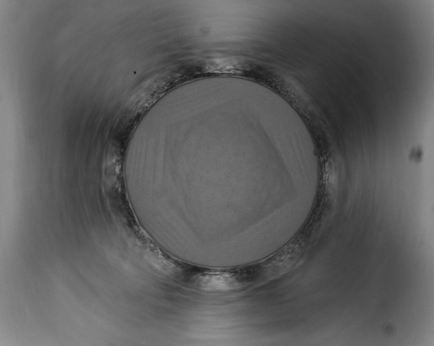 X0000115360322200911241223