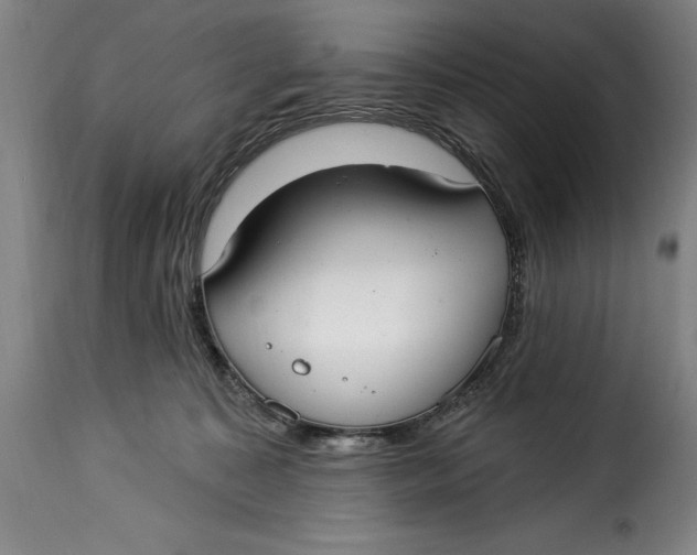 X0000115360323200911241223