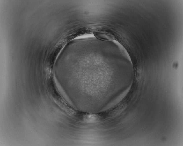 X0000115360324200911241223
