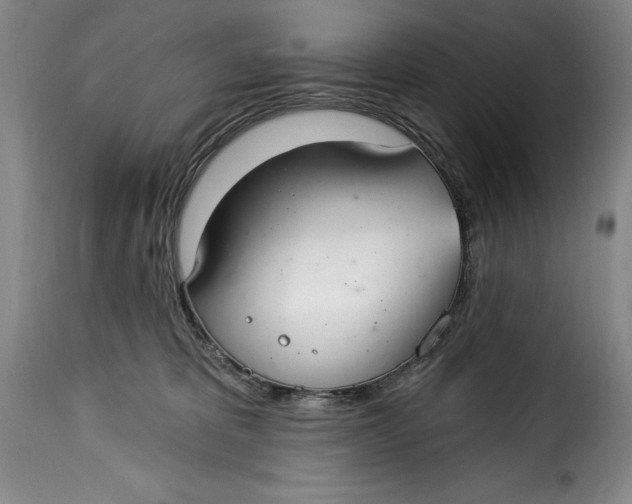 X0000115360325200911241223