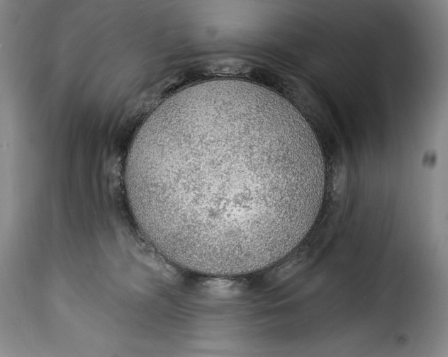X0000115360326200911241223