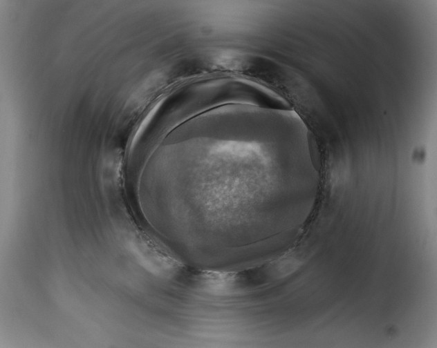 X0000115360328200911241223