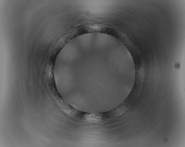 X0000115360331200911241223