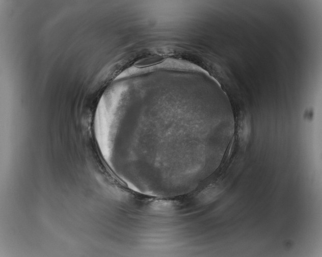 X0000115360332200911241223