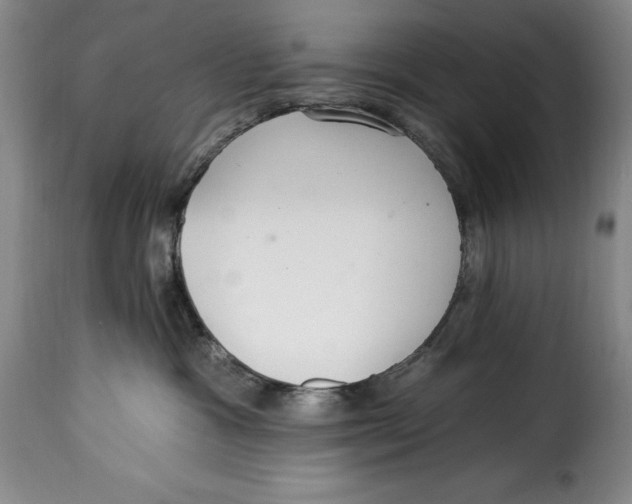 X0000115360333200911241223