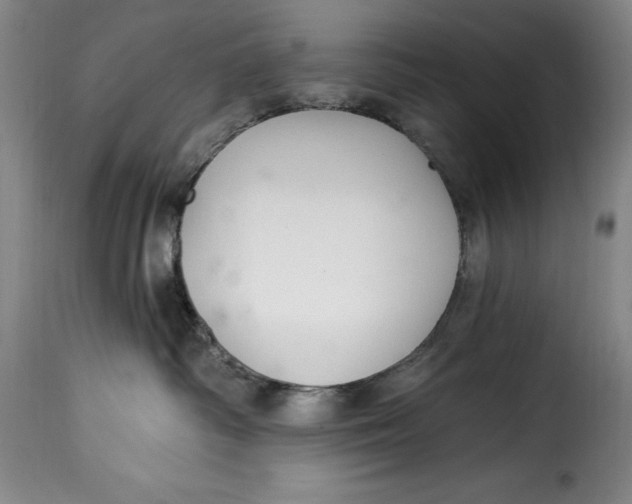 X0000115360334200911241223