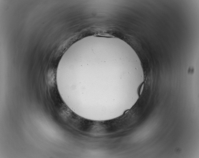 X0000115360335200911241223