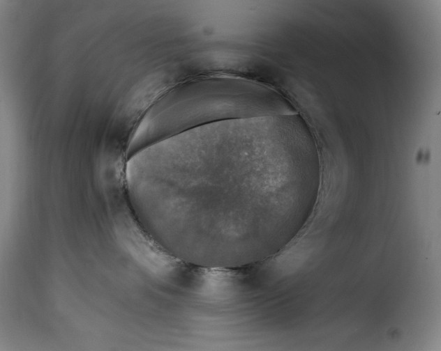 X0000115360336200911241223