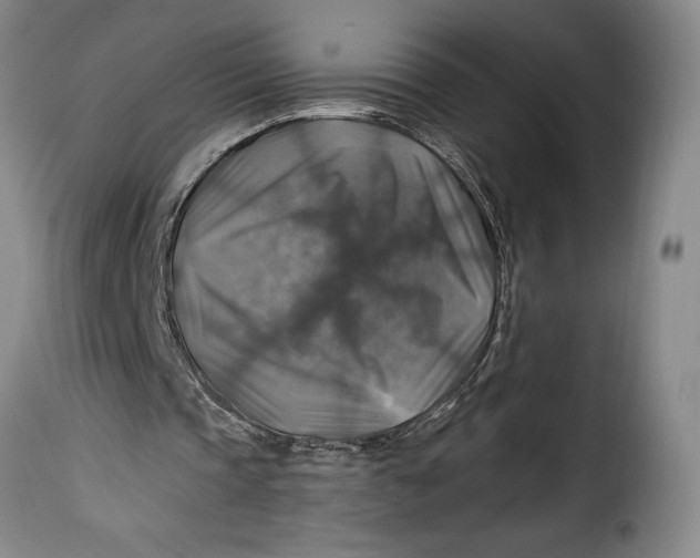 X0000115360337200911241222