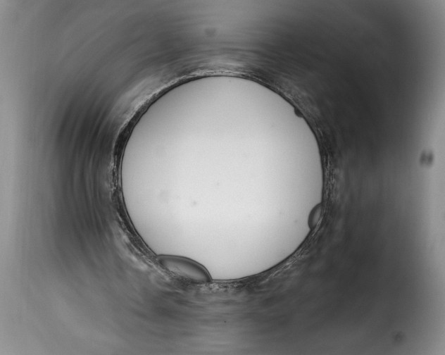X0000115360338200911241222