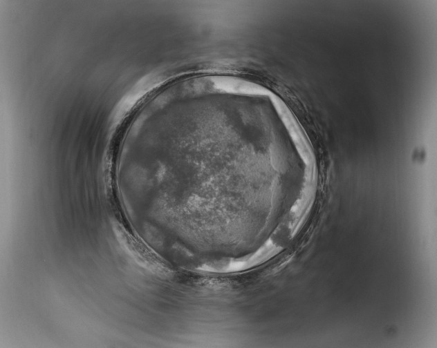 X0000115360343200911241222