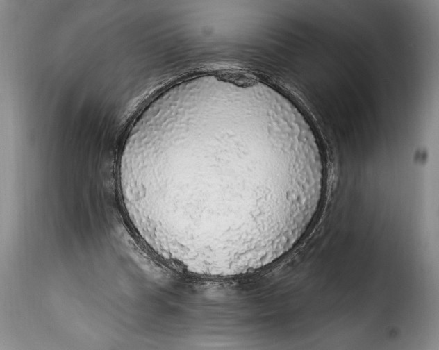 X0000115360345200911241222